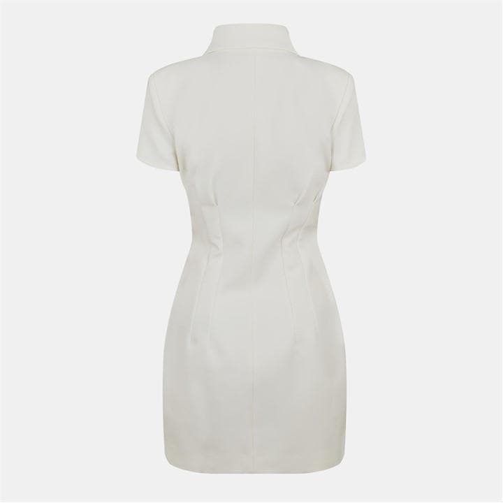 The Ultimate Muse Collared Mini Dress