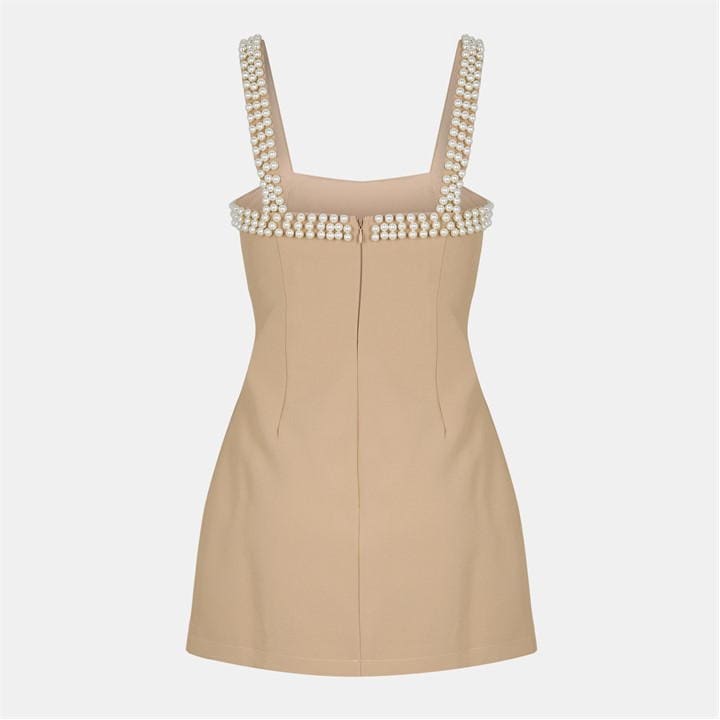 The Ultimate Muse Pearl Trim Mini Dress